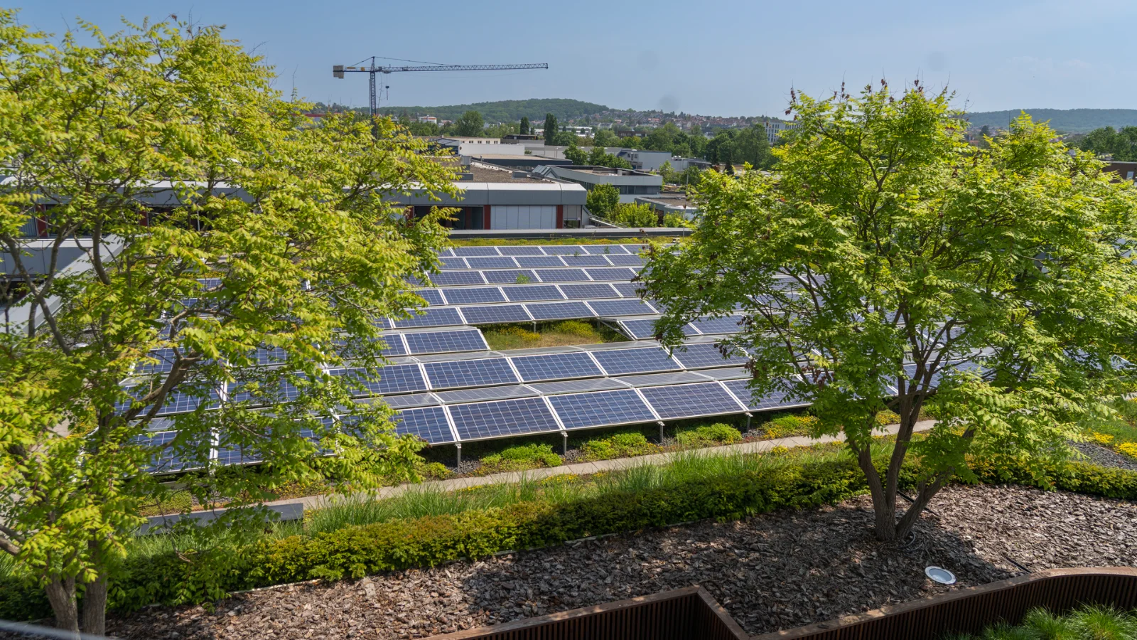 Vector relies on renewable energy and sustainable resource use in its buildings. Environment
